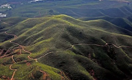 地災(zāi)評估由什么單位做