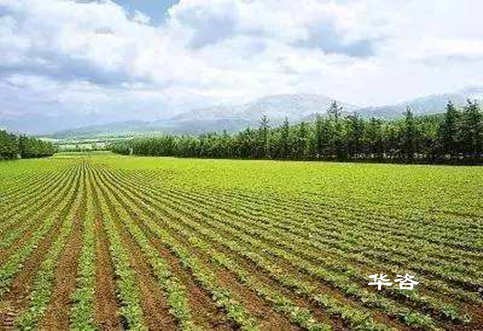 湖南城鄉(xiāng)建設用地增減掛鉤技術服務單位_提高復墾后耕地質(zhì)量的思考