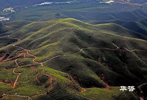 快訊！湖南永州藍(lán)山公路項(xiàng)目水土保持方案（水保）順利通過專家評議