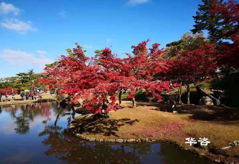 華咨水資源論證科技：創(chuàng)新論證方式，提升水資源利用效率