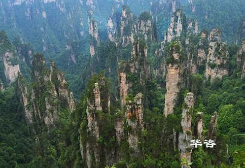 號外號外！大美張家界迎來本地社會穩(wěn)定風(fēng)險(xiǎn)評估（穩(wěn)評）報(bào)告編制單位！