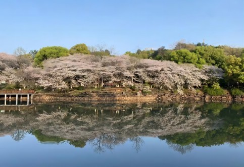 江西省專業(yè)交通技術(shù)服務(wù)公司_華咨航評和交評的核心優(yōu)勢有哪些？